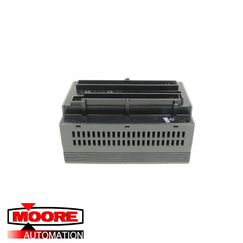 GE IC200ALG620 Analogeingangs-RTD-Modul