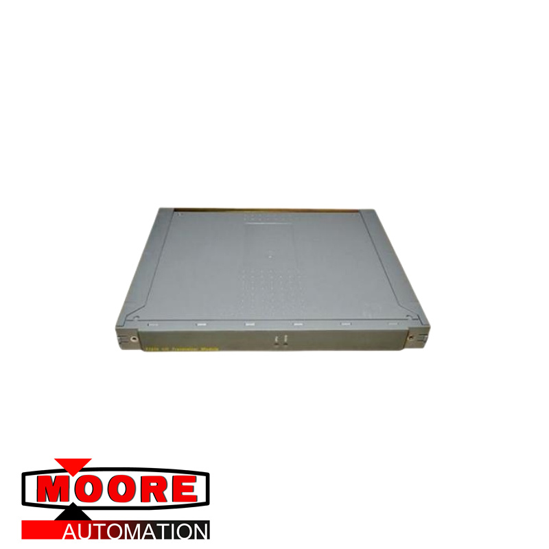 ICS TRIPLEX T9191 Modul