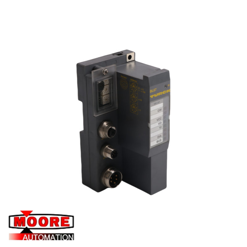 TURCK BL67-GW-DP Modul